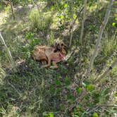 Review photo of Kenosha East Campground by Abby O., July 29, 2018