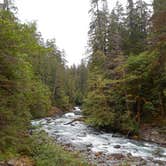 Review photo of Big Log — Olympic National Park by Tom K., July 29, 2018