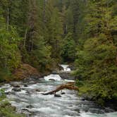 Review photo of Big Log — Olympic National Park by Tom K., July 29, 2018