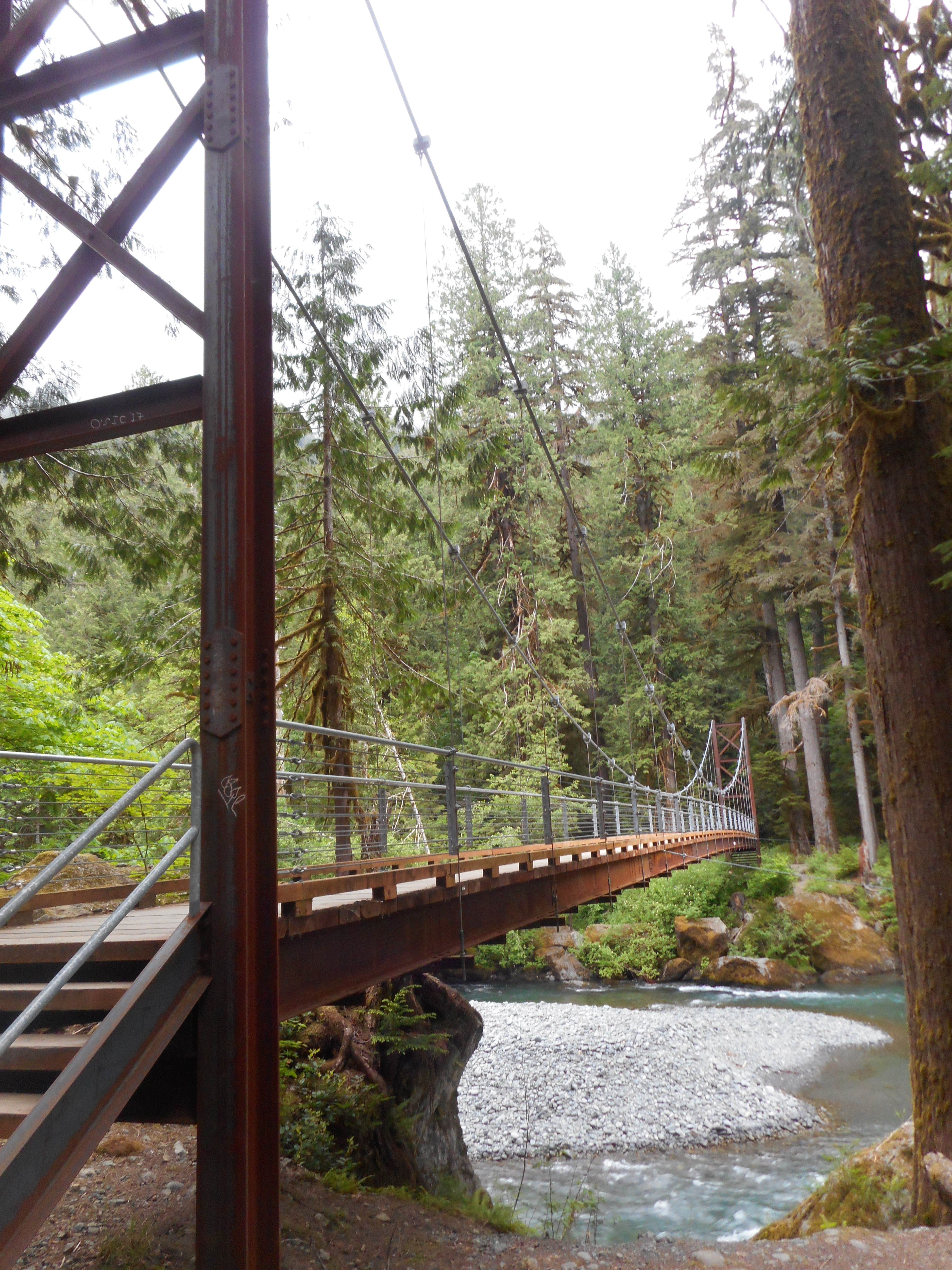 Camper submitted image from Big Log — Olympic National Park - 5