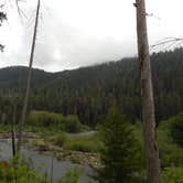 Review photo of Big Log — Olympic National Park by Tom K., July 29, 2018