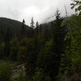 Review photo of Big Log — Olympic National Park by Tom K., July 29, 2018