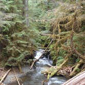 Review photo of Big Log — Olympic National Park by Tom K., July 29, 2018