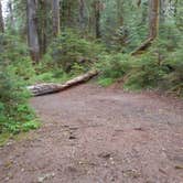 Review photo of Big Log — Olympic National Park by Tom K., July 29, 2018