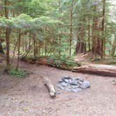 Review photo of Big Log — Olympic National Park by Tom K., July 29, 2018