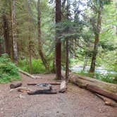 Review photo of Big Log — Olympic National Park by Tom K., July 29, 2018