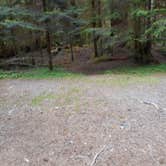 Review photo of Big Log — Olympic National Park by Tom K., July 29, 2018