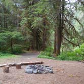 Review photo of Big Log — Olympic National Park by Tom K., July 29, 2018