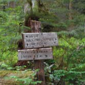 Review photo of Big Log — Olympic National Park by Tom K., July 29, 2018