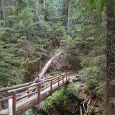 Review photo of Big Log — Olympic National Park by Tom K., July 29, 2018