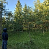 Review photo of Cold Springs Campground by Abby O., July 29, 2018