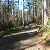 Review photo of Big Creek Campground by Tom K., July 29, 2018