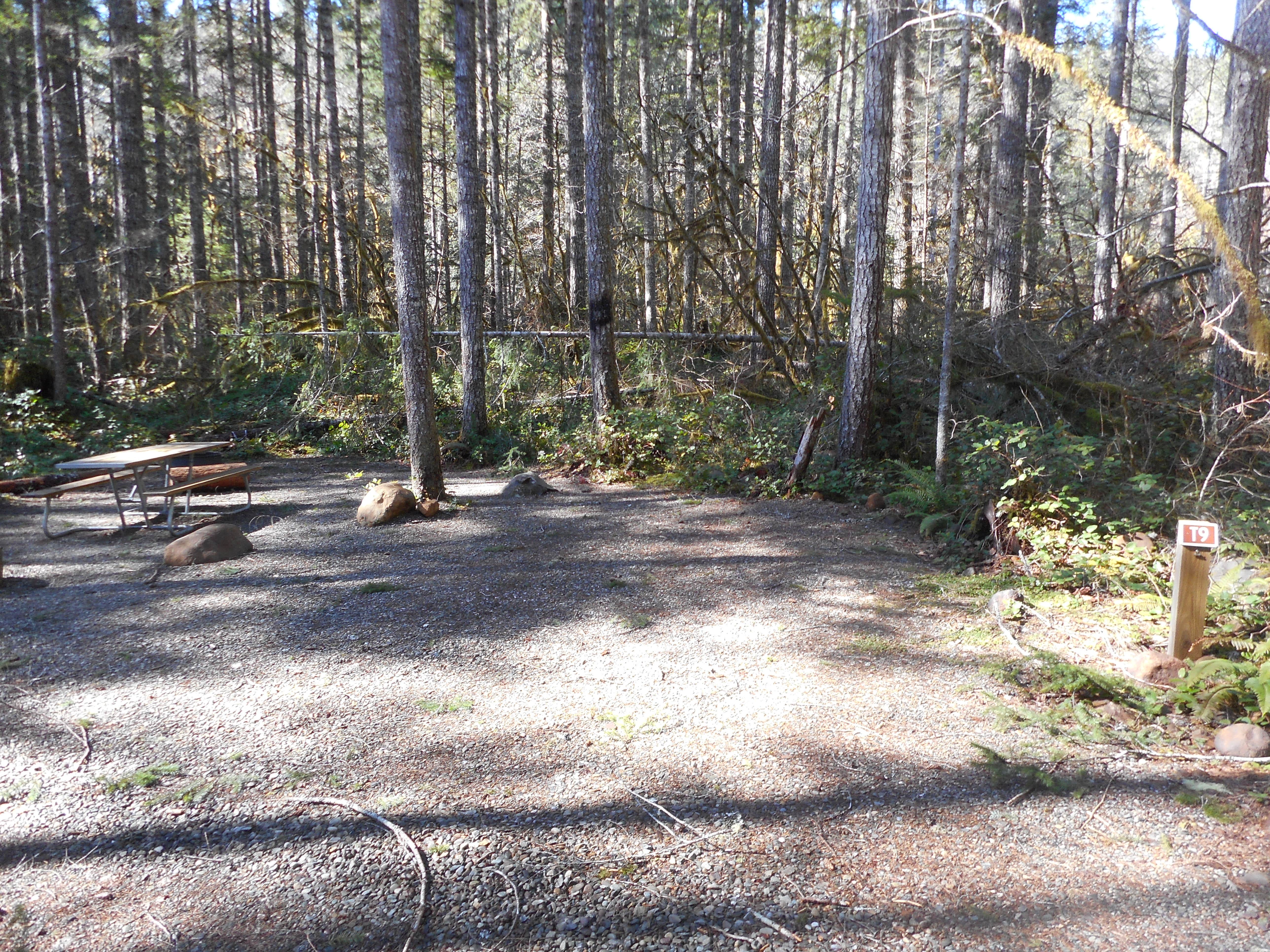 Camper-submitted photo at Big Creek Campground near Lilliwaup, WA