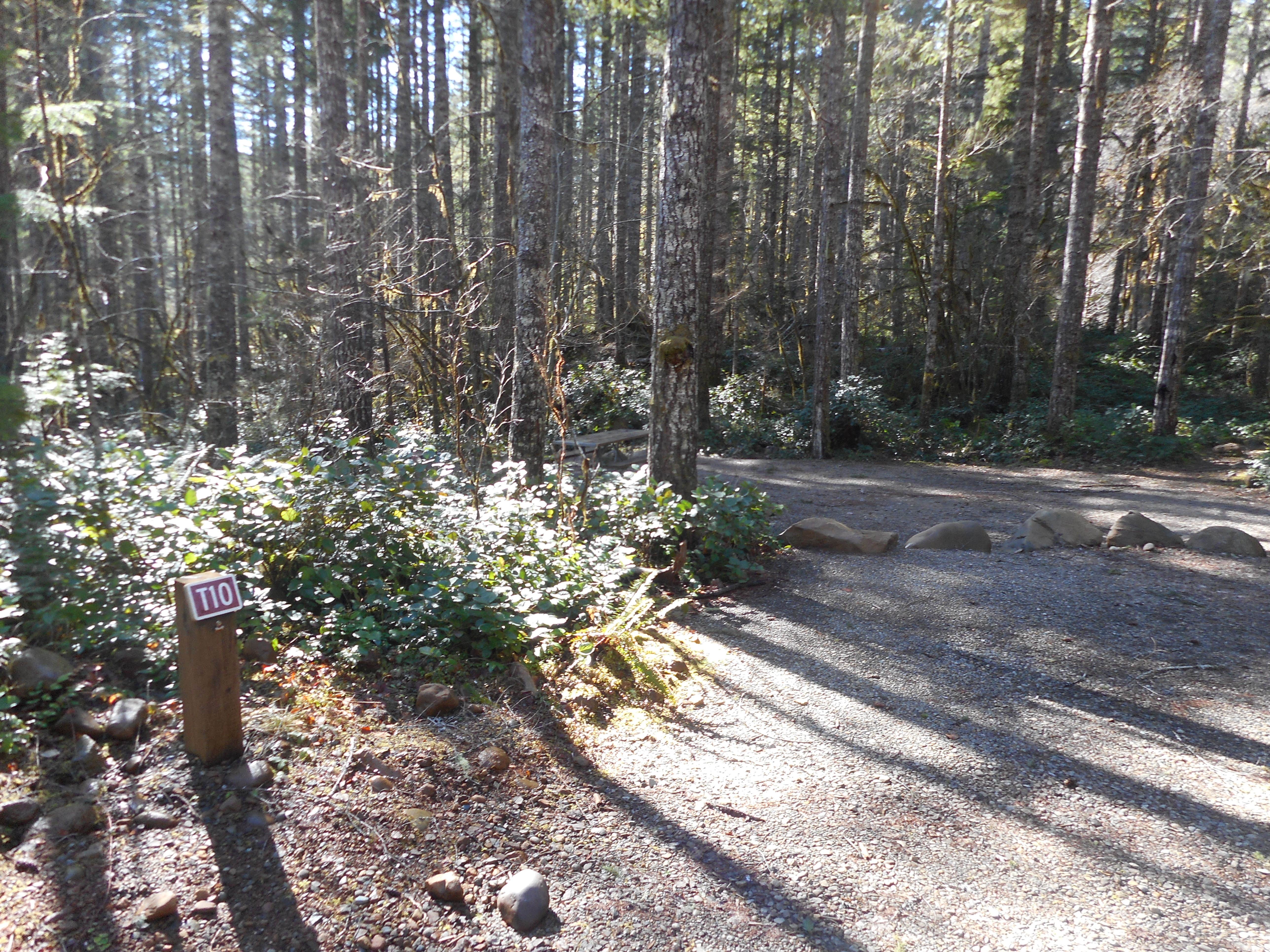 Camper-submitted photo at Big Creek Campground near Lilliwaup, WA