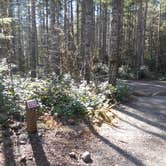 Review photo of Big Creek Campground by Tom K., July 29, 2018