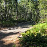 Review photo of Big Creek Campground by Tom K., July 29, 2018