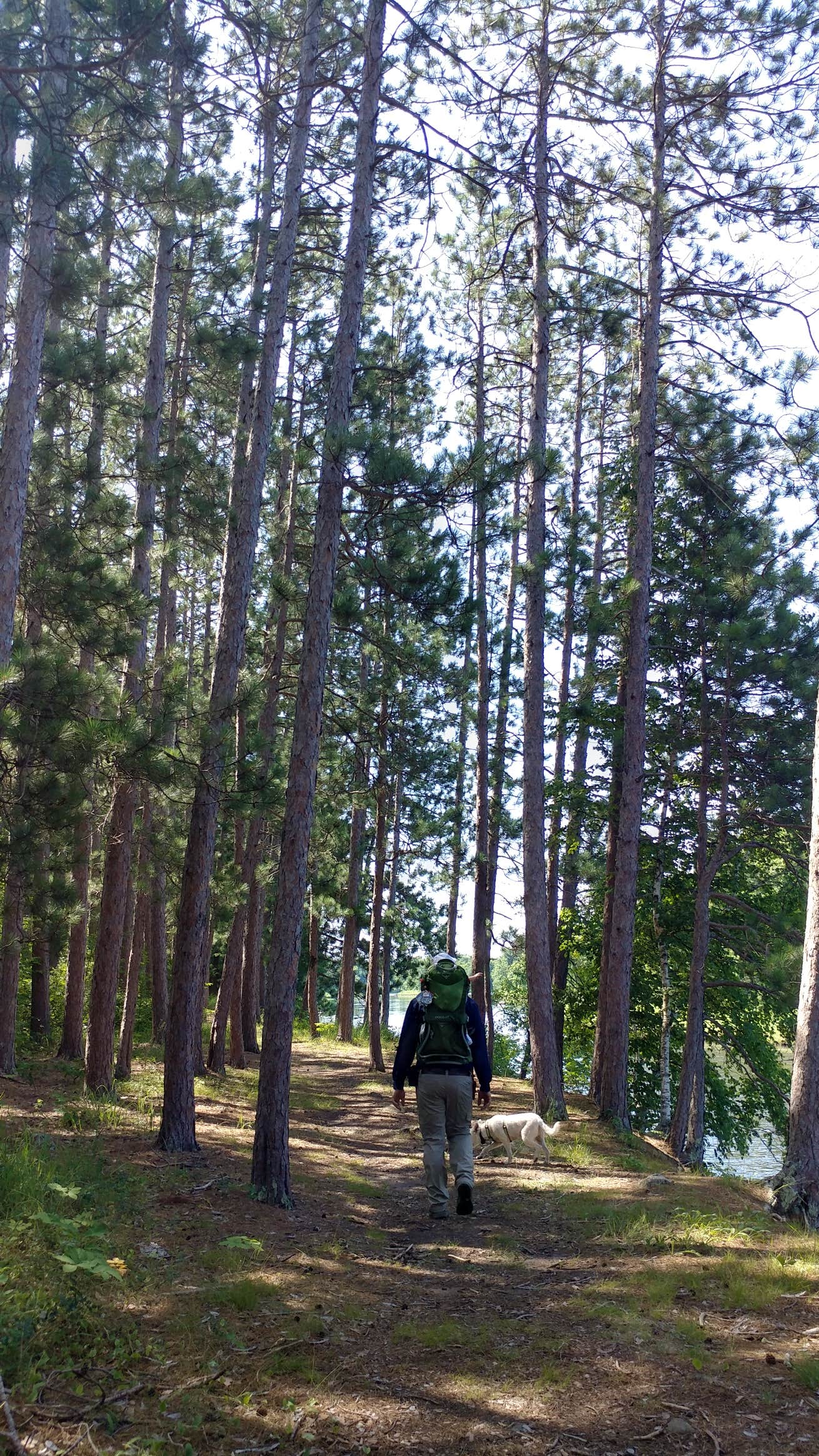 Camper submitted image from Riverview Campground — St. Croix State Park - 3