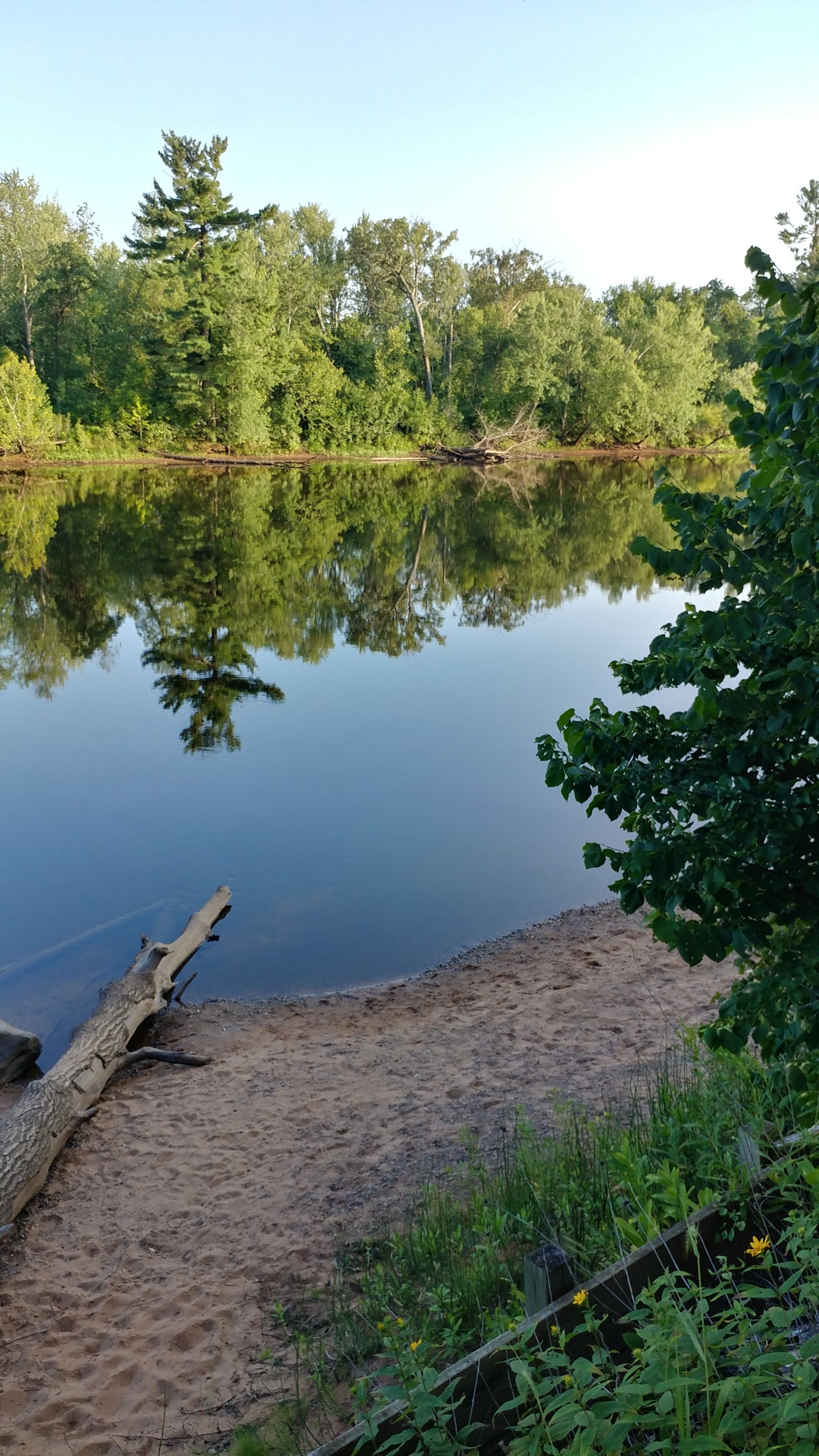 Camper submitted image from Riverview Campground — St. Croix State Park - 5