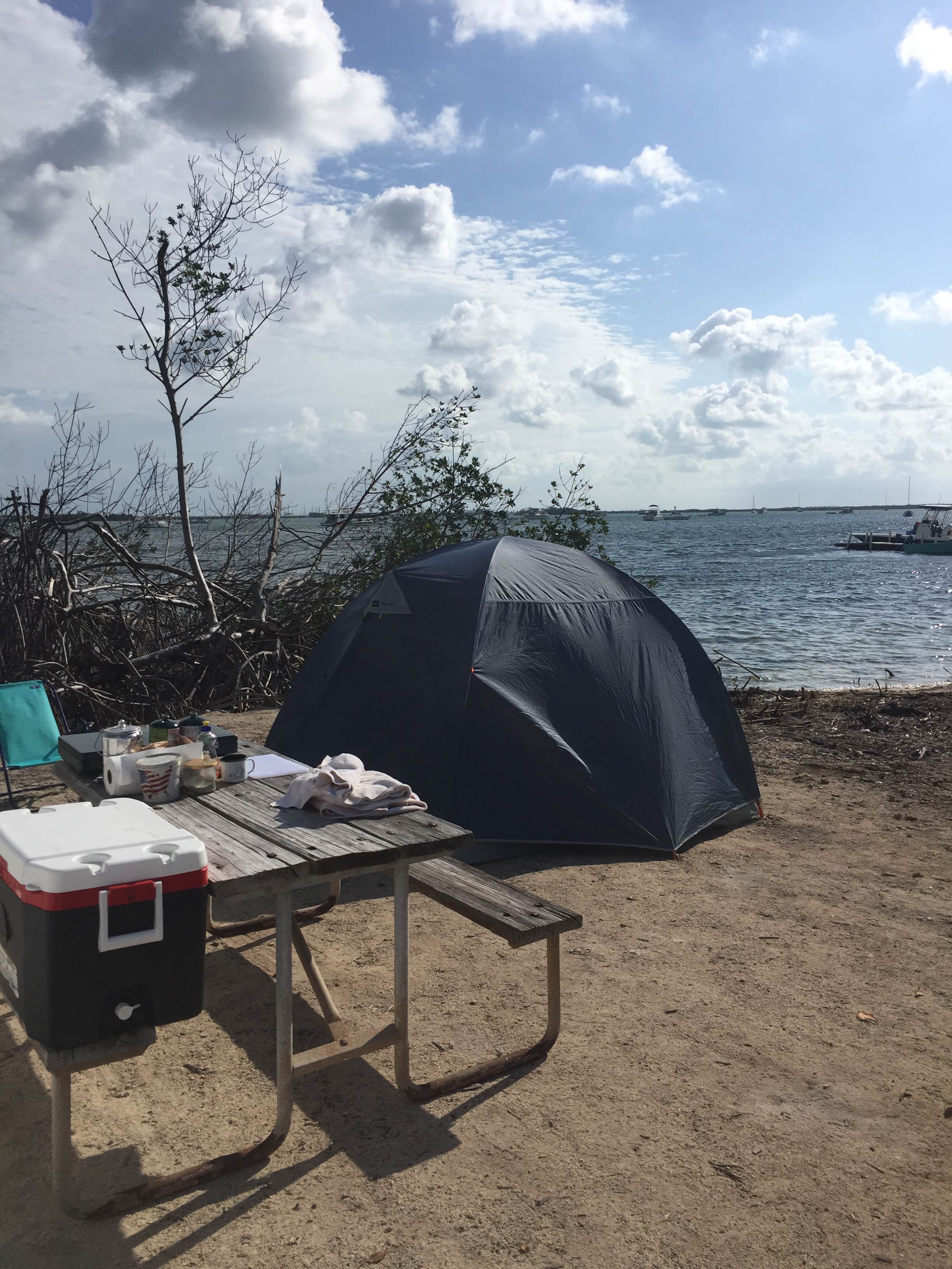 Alex F.&#x27;s photo at Boyd&#x27;s Key West Campground in Florida