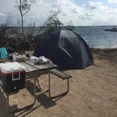 Review photo of Boyd's Key West Campground by Alex F., July 29, 2018