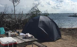 Alex F.'s photo at Boyd's Key West Campground in Florida