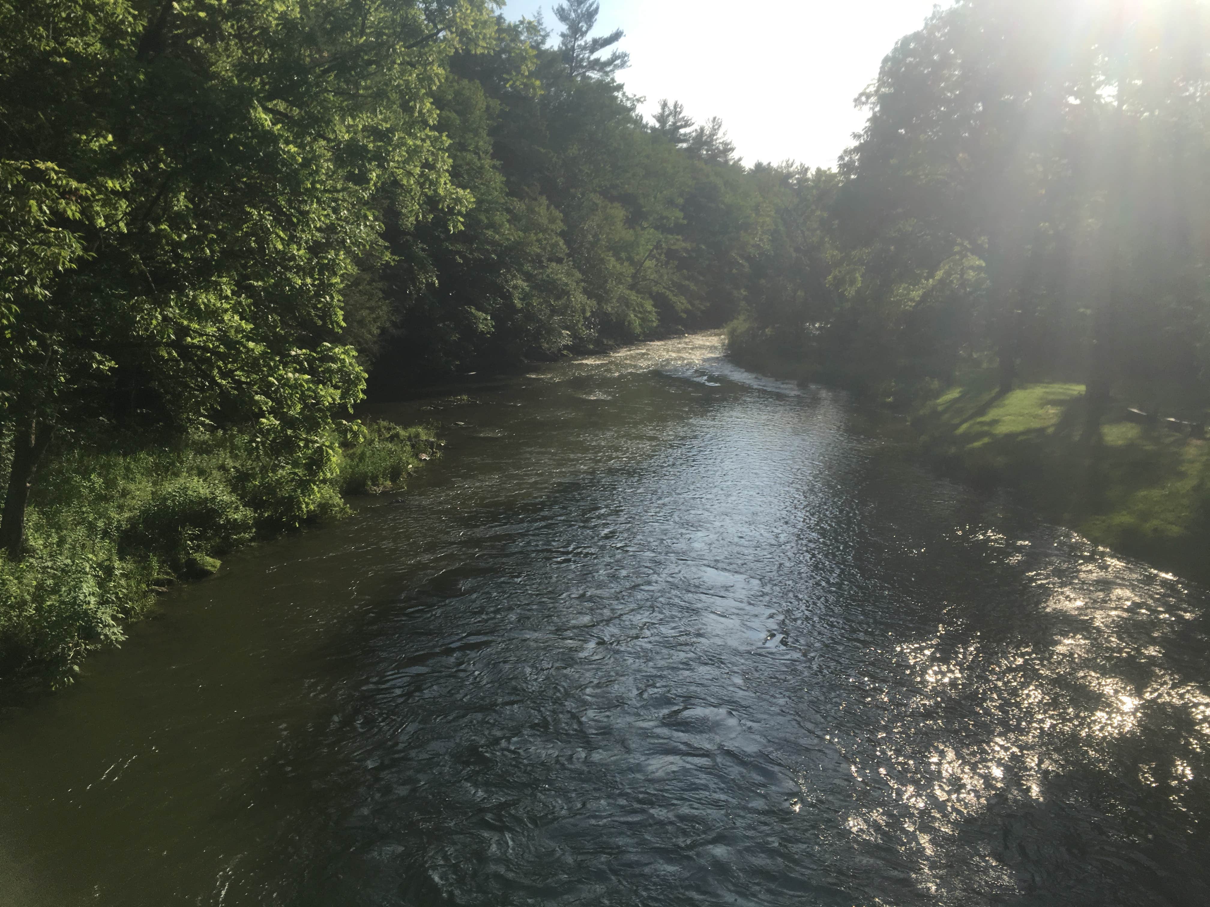 Camper submitted image from Poe Valley State Park - 4