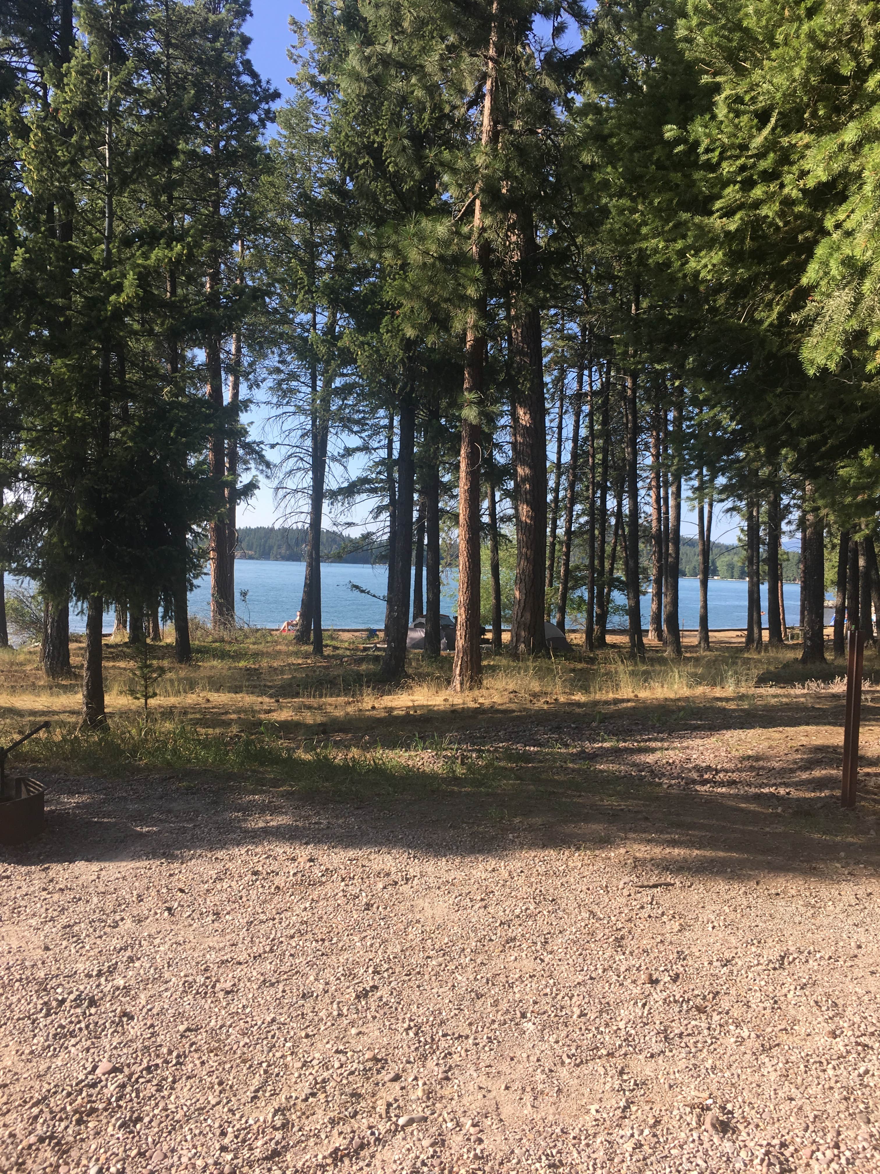 Camper submitted image from Finley Point Unit — Flathead Lake State Park - 2