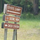 Review photo of Coyote Camp by Paula W., July 30, 2018