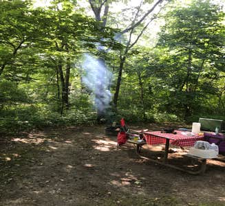 Camper-submitted photo from Fort Ridgely State Park Campground