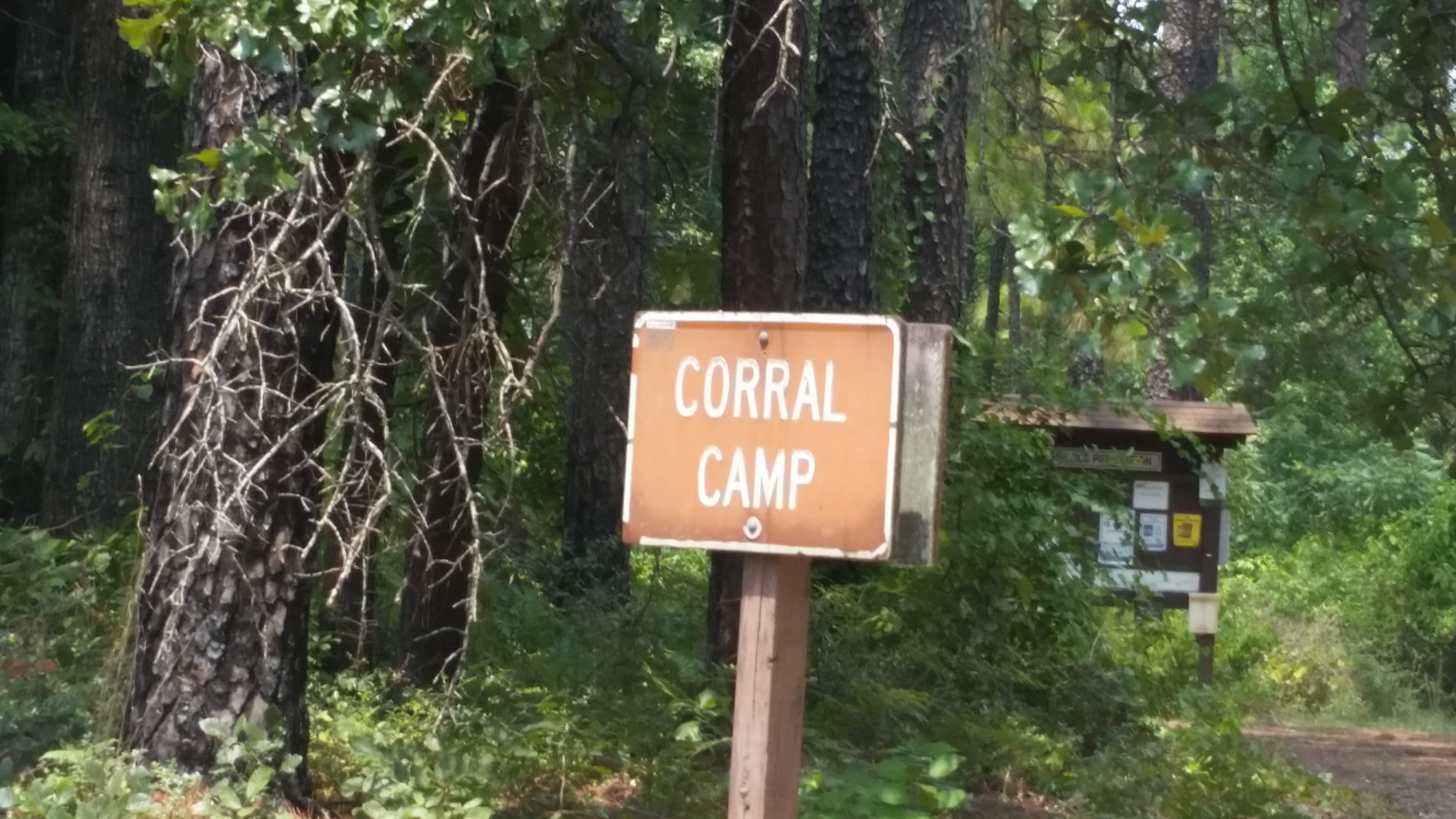 Camper submitted image from Corral Camp - 3