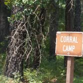 Review photo of Corral Camp by Paula W., July 30, 2018