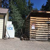 Review photo of Big Arm State Unit — Flathead Lake State Park by Celina M., July 30, 2018