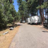 Review photo of Big Arm State Unit — Flathead Lake State Park by Celina M., July 30, 2018