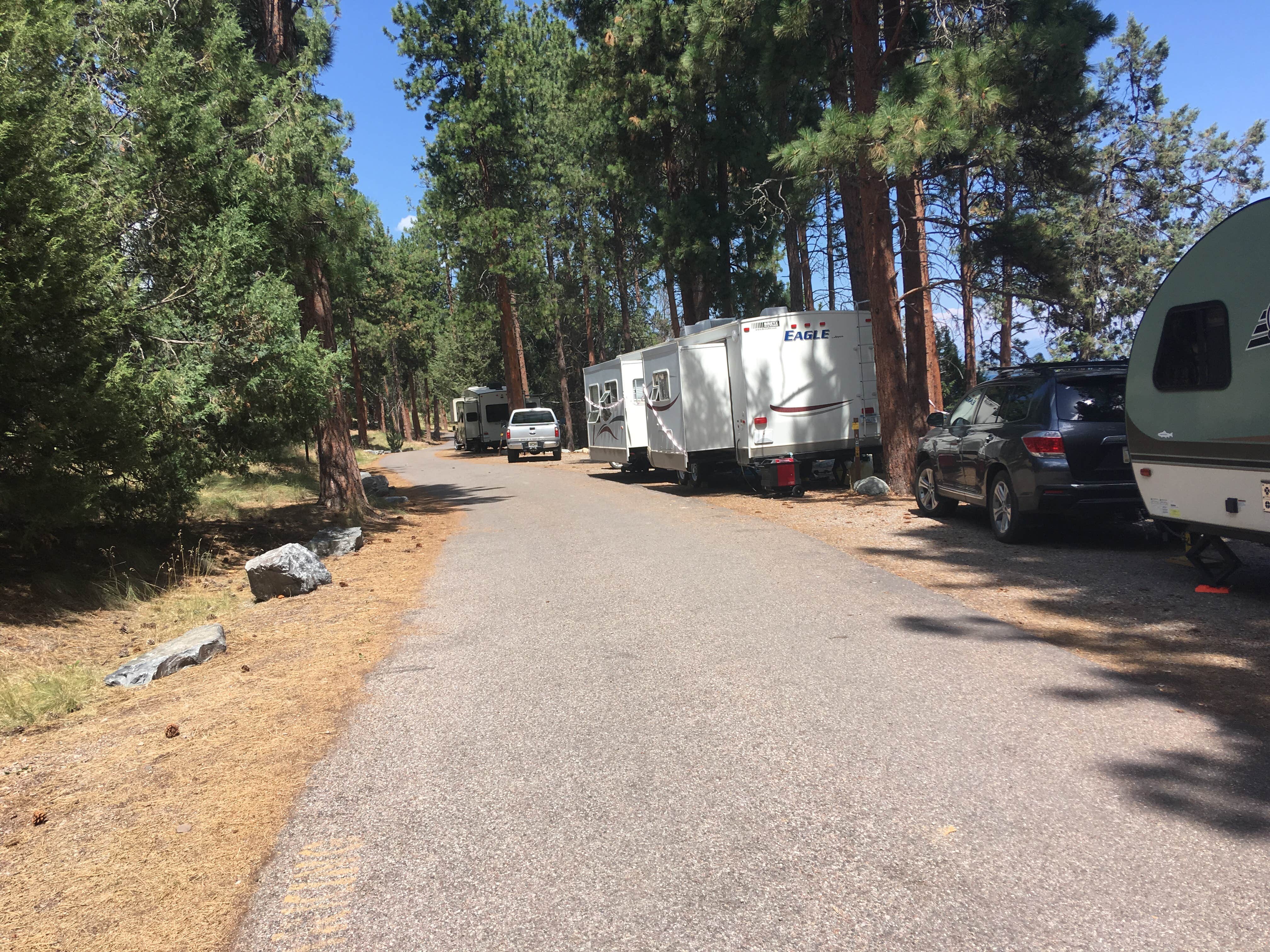 Camper submitted image from Big Arm State Unit — Flathead Lake State Park - 3