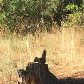 Review photo of Big Arm State Unit — Flathead Lake State Park by Celina M., July 30, 2018