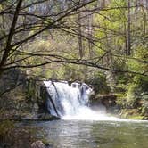 Review photo of Cosby Campground — Great Smoky Mountains National Park by Bran P., July 21, 2016
