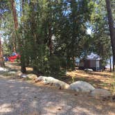 Review photo of Big Arm State Unit — Flathead Lake State Park by Celina M., July 30, 2018