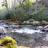 Review photo of Cosby Campground — Great Smoky Mountains National Park by Bran P., July 21, 2016