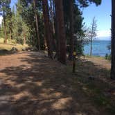 Review photo of Big Arm State Unit — Flathead Lake State Park by Celina M., July 30, 2018