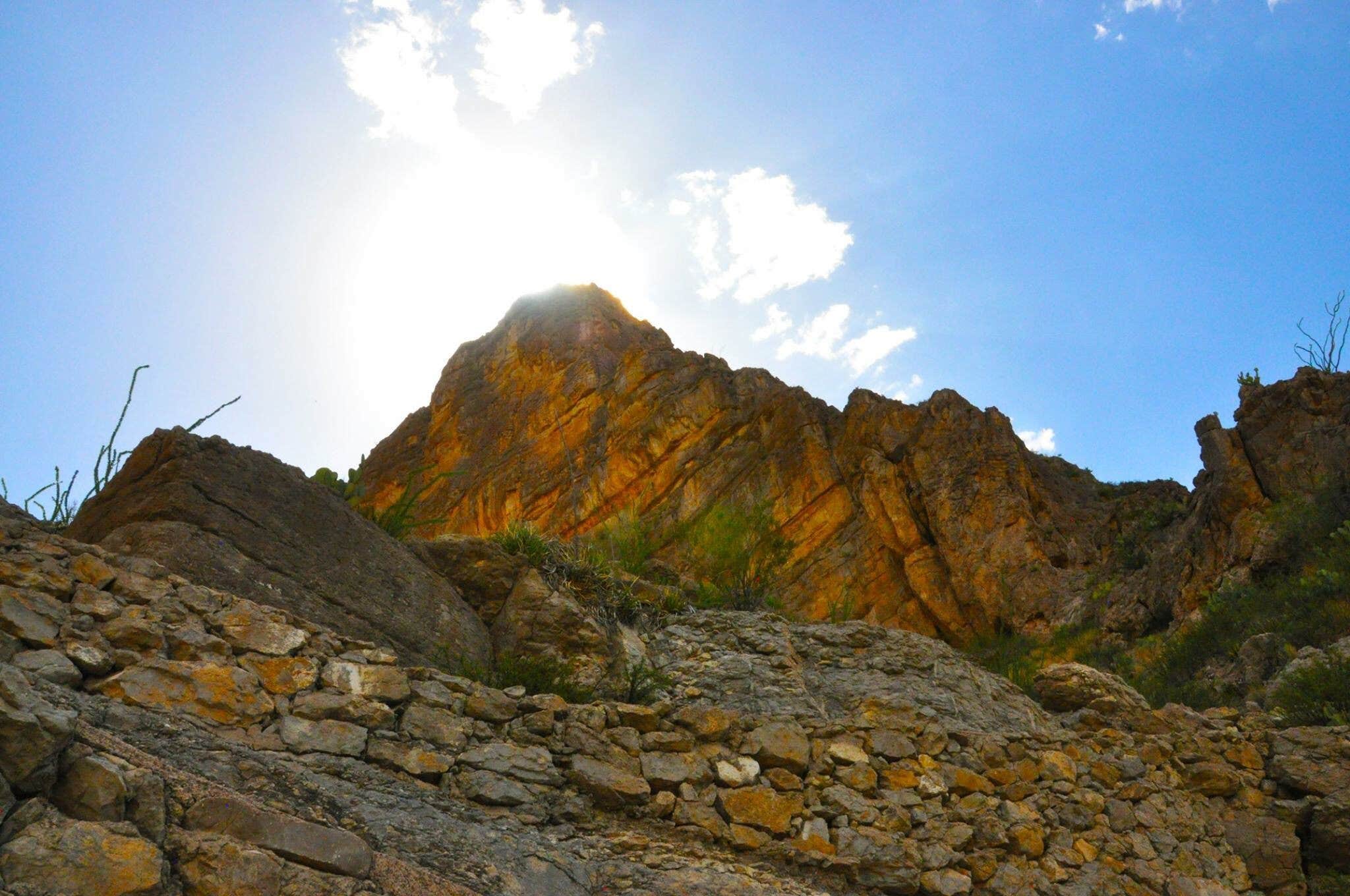 Rio Grande Village RV Campground — Big Bend National Park