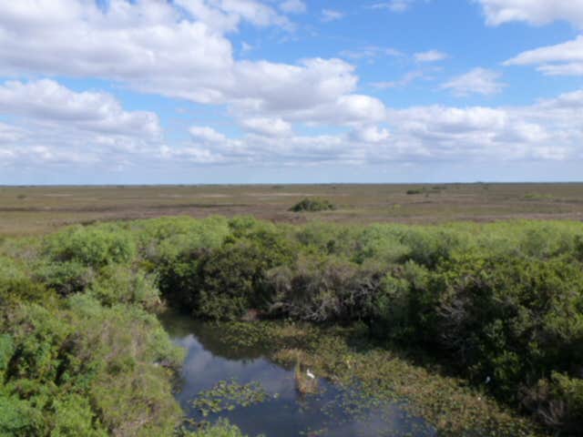 Camper submitted image from Flamingo Campground — Everglades National Park - 5