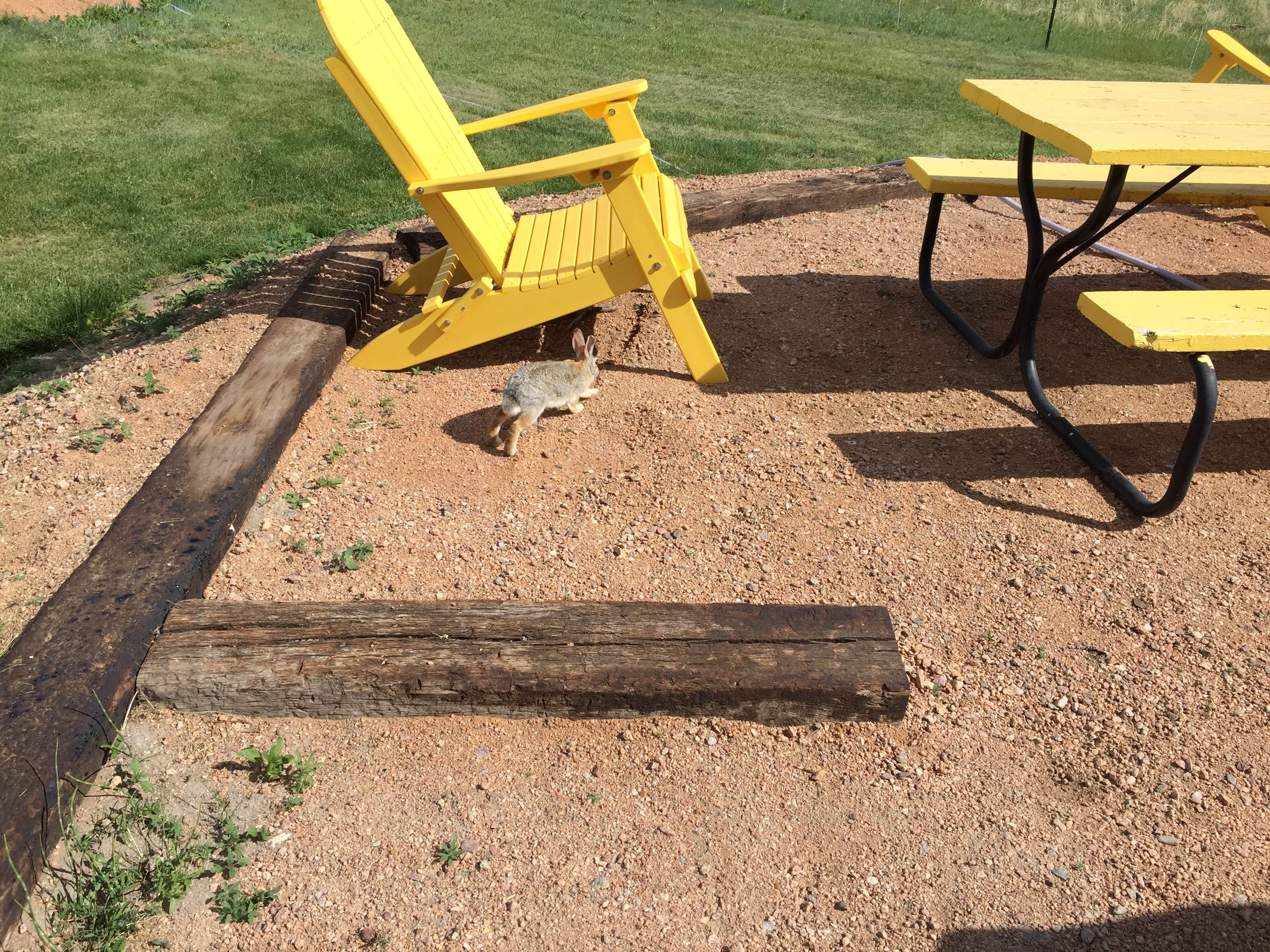 Camper-submitted photo at Falcon Meadow RV Campground near Lone Tree, CO