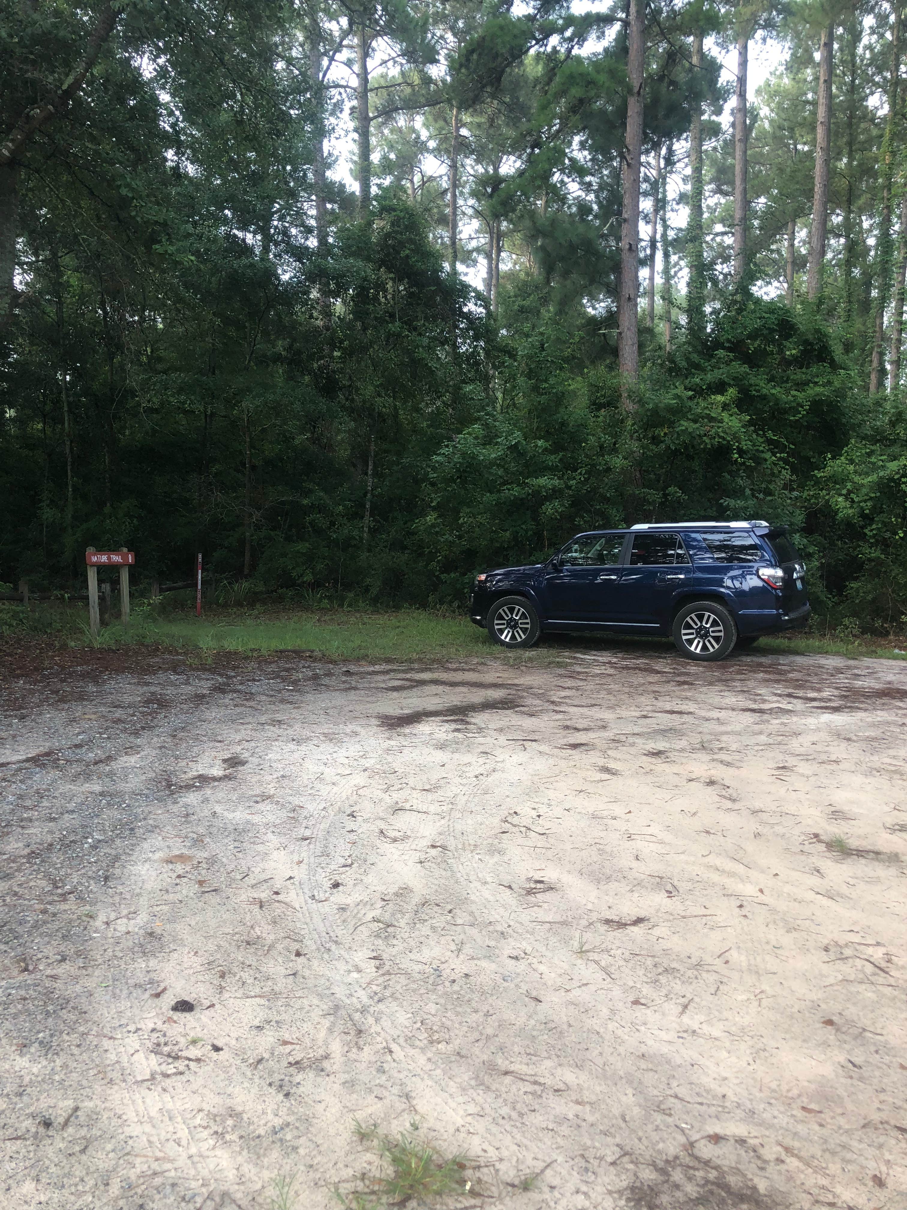 Camper submitted image from Georgia Veterans State Park Campground - 3