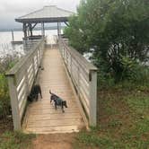 Review photo of Georgia Veterans State Park Campground by Shelly S., July 30, 2018