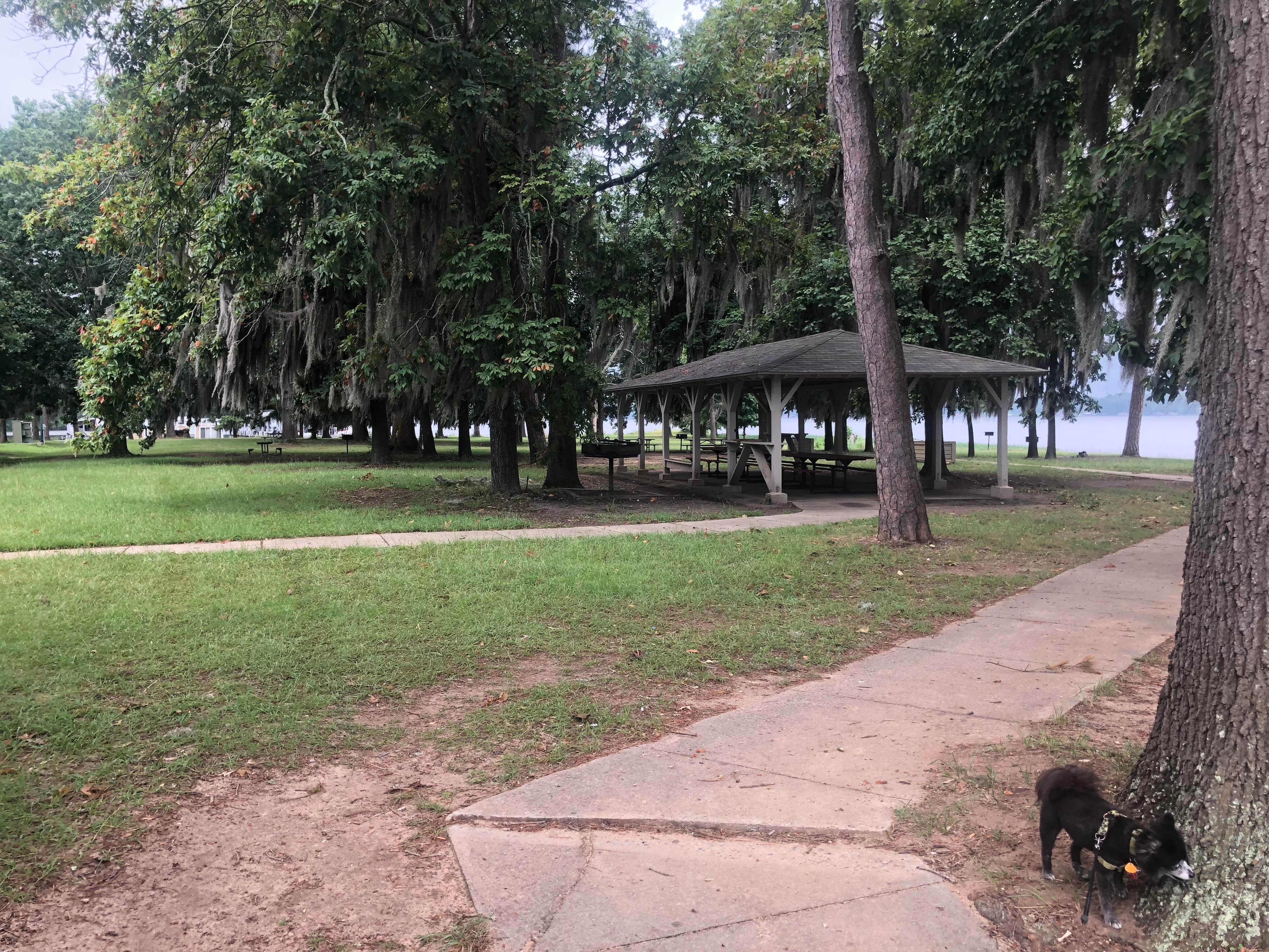 Camper submitted image from Georgia Veterans State Park Campground - 5