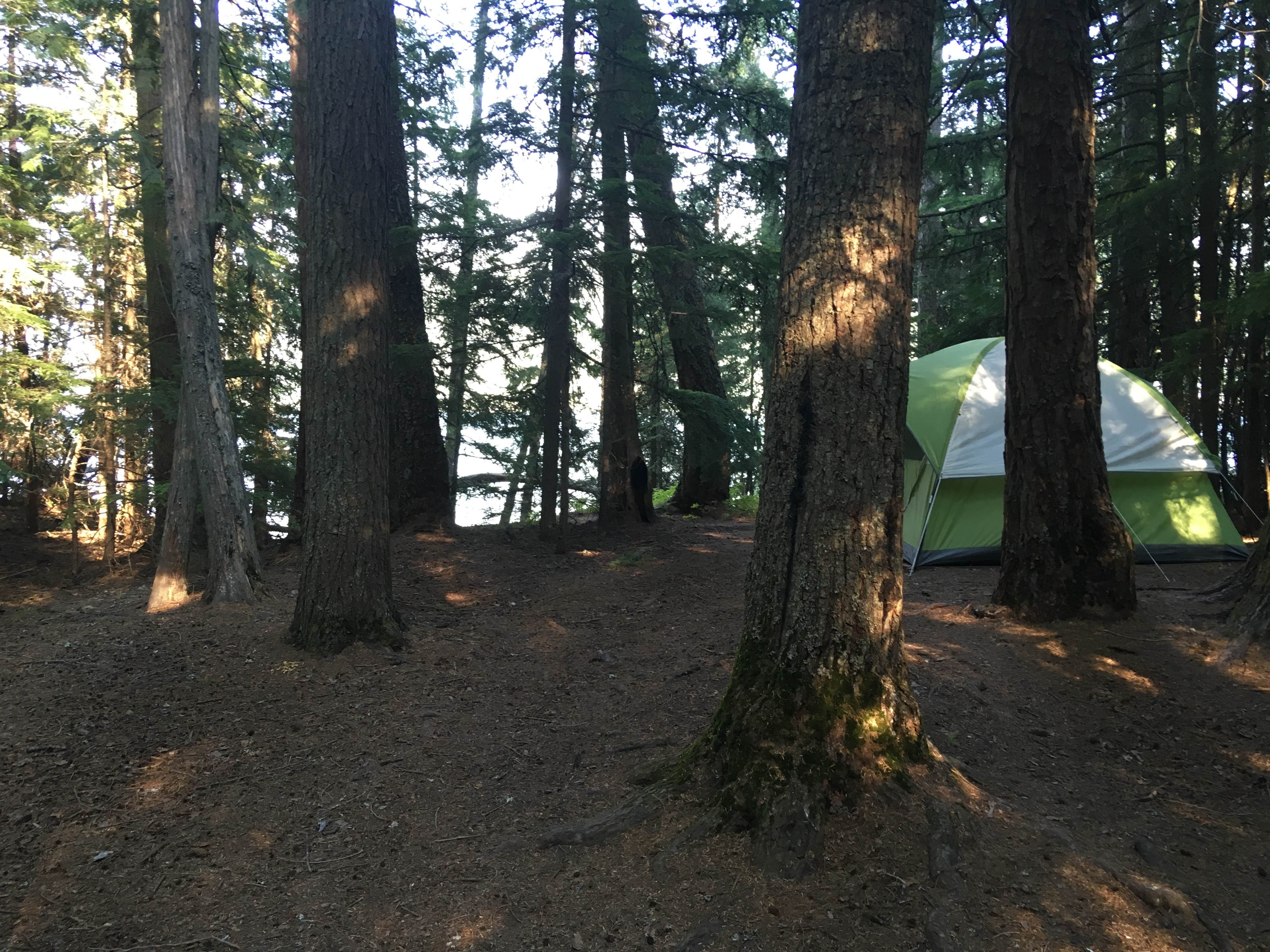 Celina M.'s photo at Fish Creek Campground — Glacier National Park near Glacier National Park