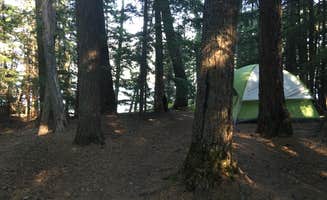 Celina M.'s photo at Fish Creek Campground — Glacier National Park near Glacier National Park