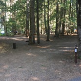 Review photo of Fish Creek Campground — Glacier National Park by Celina M., July 30, 2018