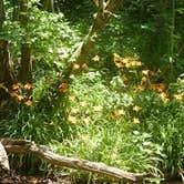 Review photo of Natural Tunnel State Park Campground by Bran P., July 28, 2016