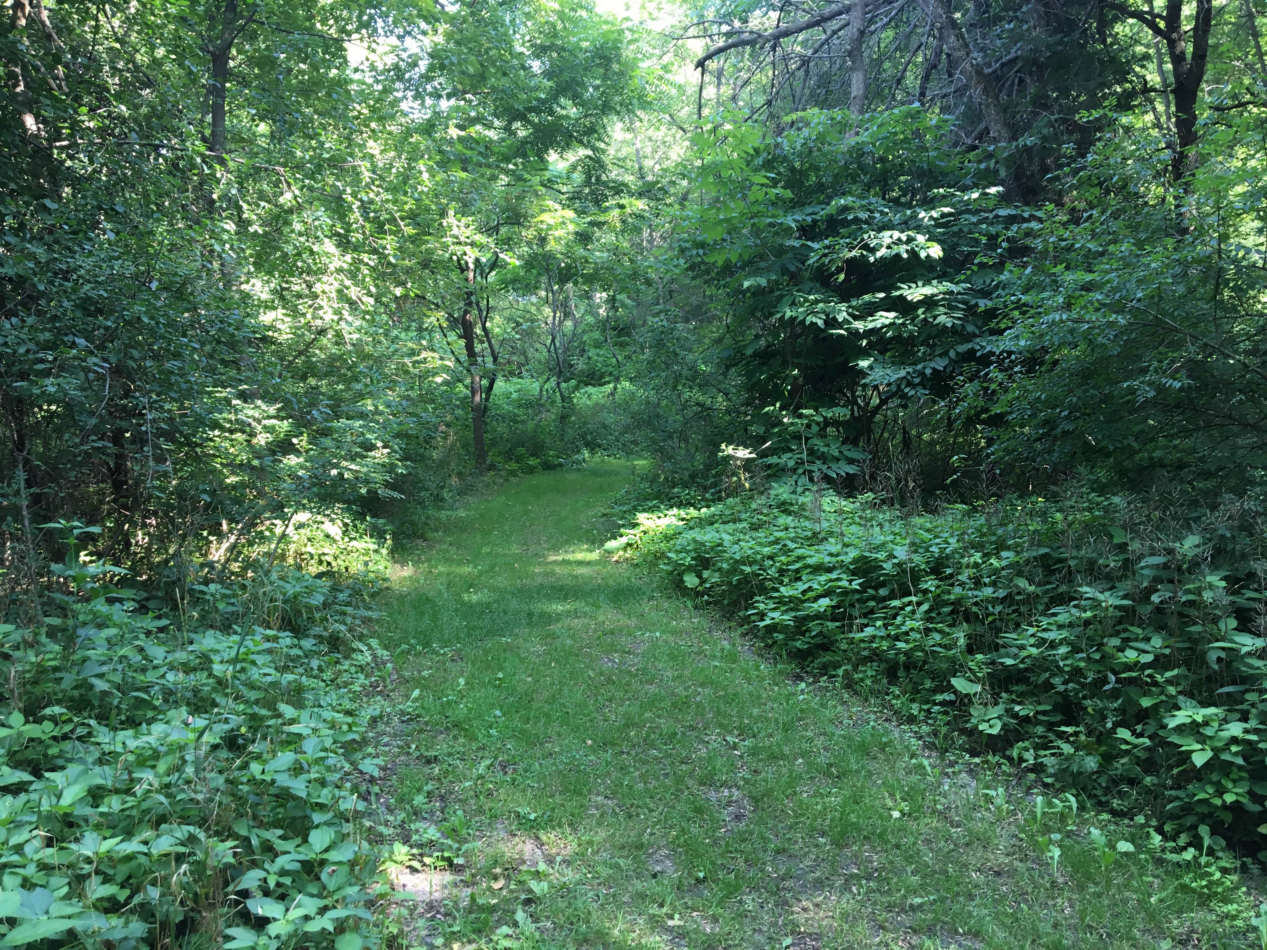 Flandrau State Park Camping New Ulm, MN